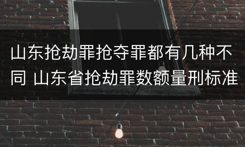 山东抢劫罪抢夺罪都有几种不同 山东省抢劫罪数额量刑标准