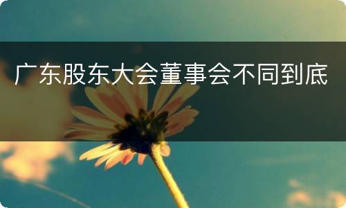 广东股东大会董事会不同到底