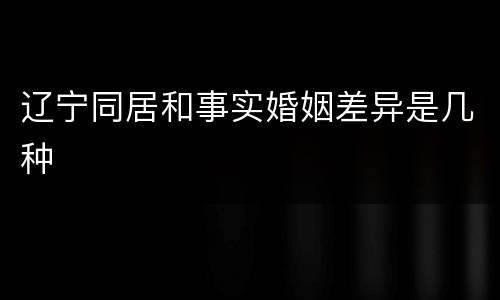 辽宁同居和事实婚姻差异是几种