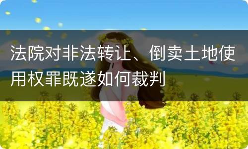 法院对非法转让、倒卖土地使用权罪既遂如何裁判