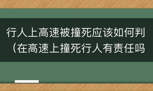 行人上高速被撞死应该如何判（在高速上撞死行人有责任吗）