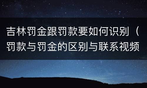 吉林罚金跟罚款要如何识别（罚款与罚金的区别与联系视频）