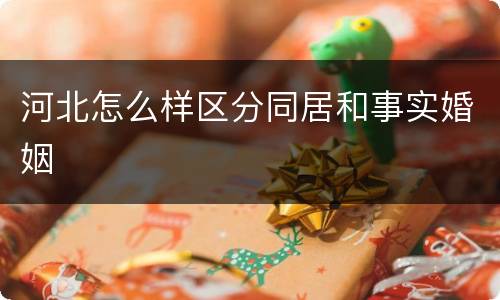 河北怎么样区分同居和事实婚姻