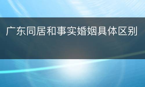 广东同居和事实婚姻具体区别