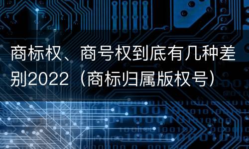 商标权、商号权到底有几种差别2022（商标归属版权号）