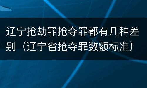 辽宁抢劫罪抢夺罪都有几种差别（辽宁省抢夺罪数额标准）