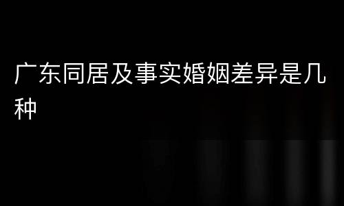 广东同居及事实婚姻差异是几种