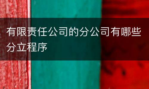 有限责任公司的分公司有哪些分立程序