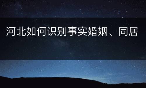 河北如何识别事实婚姻、同居