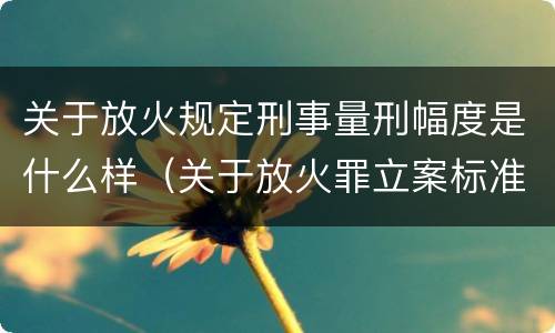 关于放火规定刑事量刑幅度是什么样（关于放火罪立案标准）