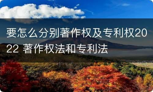 要怎么分别著作权及专利权2022 著作权法和专利法