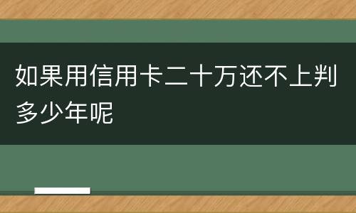 如果用信用卡二十万还不上判多少年呢
