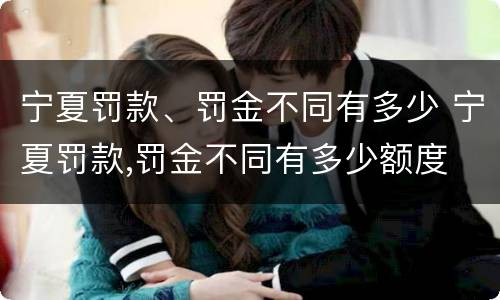 宁夏罚款、罚金不同有多少 宁夏罚款,罚金不同有多少额度