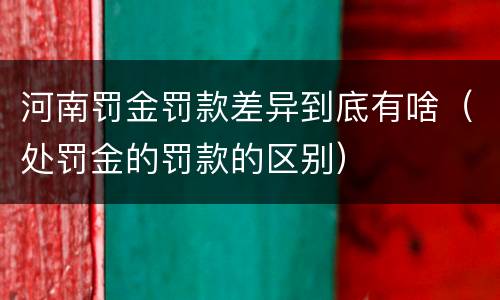 河南罚金罚款差异到底有啥（处罚金的罚款的区别）