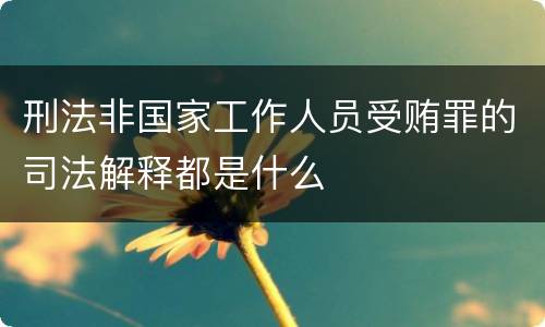 刑法非国家工作人员受贿罪的司法解释都是什么