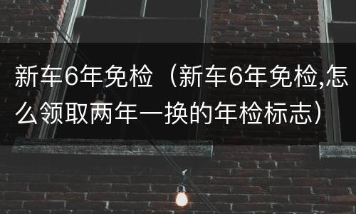 新车6年免检（新车6年免检,怎么领取两年一换的年检标志）