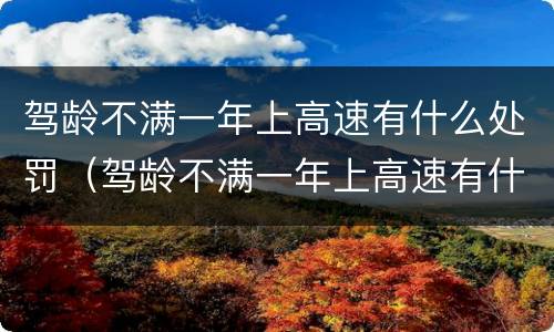 驾龄不满一年上高速有什么处罚（驾龄不满一年上高速有什么处罚吗）