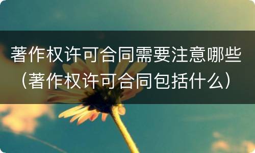 著作权许可合同需要注意哪些（著作权许可合同包括什么）