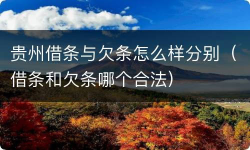 贵州借条与欠条怎么样分别（借条和欠条哪个合法）
