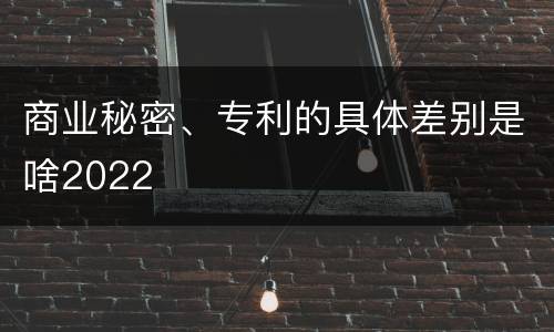 商业秘密、专利的具体差别是啥2022