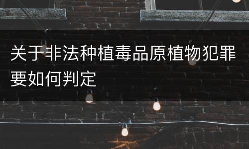 关于非法种植毒品原植物犯罪要如何判定