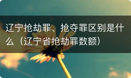 辽宁抢劫罪、抢夺罪区别是什么（辽宁省抢劫罪数额）