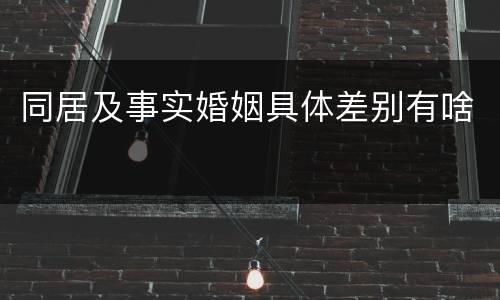 同居及事实婚姻具体差别有啥