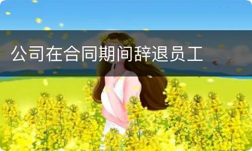 公司在合同期间辞退员工