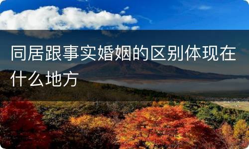 同居跟事实婚姻的区别体现在什么地方