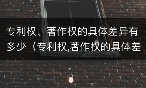 专利权、著作权的具体差异有多少（专利权,著作权的具体差异有多少项）
