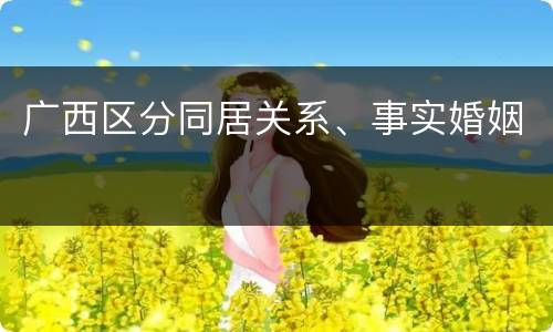 广西区分同居关系、事实婚姻