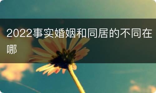 2022事实婚姻和同居的不同在哪
