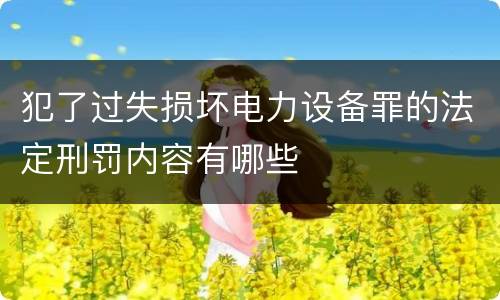 犯了过失损坏电力设备罪的法定刑罚内容有哪些