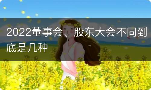 2022董事会、股东大会不同到底是几种