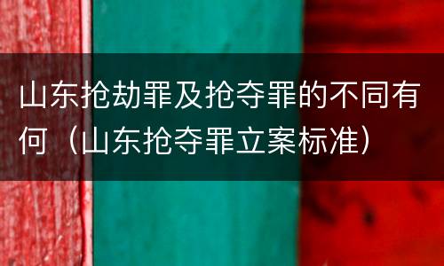 山东抢劫罪及抢夺罪的不同有何（山东抢夺罪立案标准）