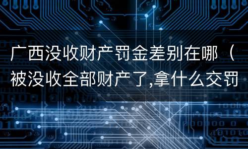 广西没收财产罚金差别在哪（被没收全部财产了,拿什么交罚金）