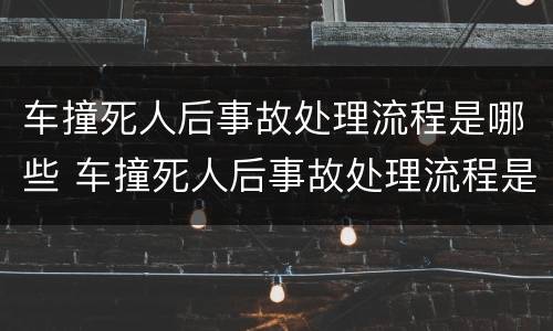 车撞死人后事故处理流程是哪些 车撞死人后事故处理流程是哪些内容