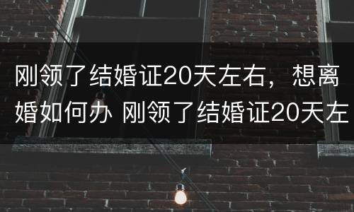刚领了结婚证20天左右，想离婚如何办 刚领了结婚证20天左右,想离婚如何办理