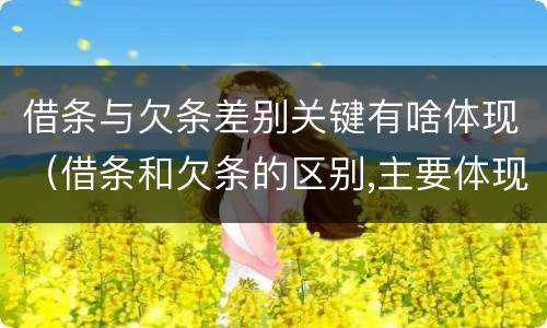 借条与欠条差别关键有啥体现（借条和欠条的区别,主要体现在哪些方面?）