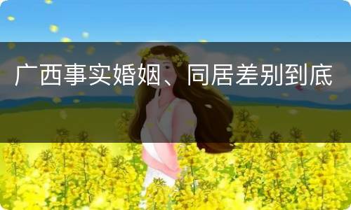 广西事实婚姻、同居差别到底