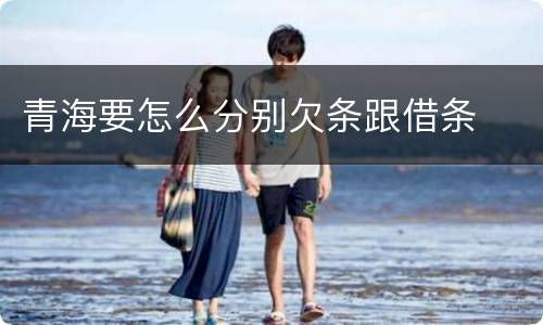 青海要怎么分别欠条跟借条