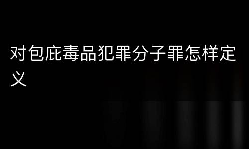 对包庇毒品犯罪分子罪怎样定义