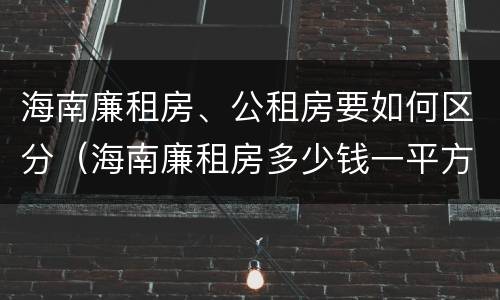 海南廉租房、公租房要如何区分（海南廉租房多少钱一平方）