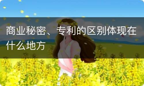 商业秘密、专利的区别体现在什么地方