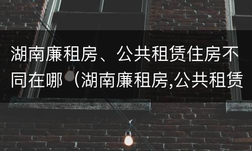 湖南廉租房、公共租赁住房不同在哪（湖南廉租房,公共租赁住房不同在哪里办理）