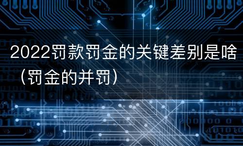 2022罚款罚金的关键差别是啥（罚金的并罚）