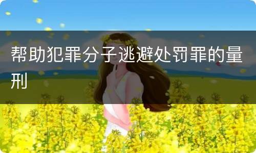 帮助犯罪分子逃避处罚罪的量刑