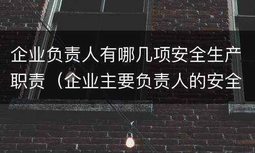 企业负责人有哪几项安全生产职责（企业主要负责人的安全职责有哪几项）