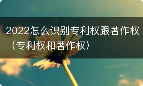 2022怎么识别专利权跟著作权（专利权和著作权）