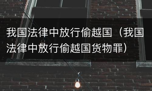 我国法律中放行偷越国（我国法律中放行偷越国货物罪）